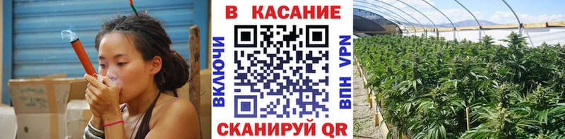 Виды наркоты Кандалакша Кокаин Метамфетамин Галлюциногенные грибы Каннабис ГАШИШ