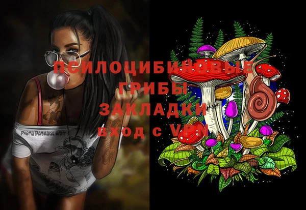 Альфа ПВП Надым