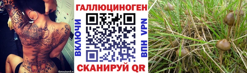 Псилоцибиновые грибы Magic Shrooms  наркошоп  Кандалакша 