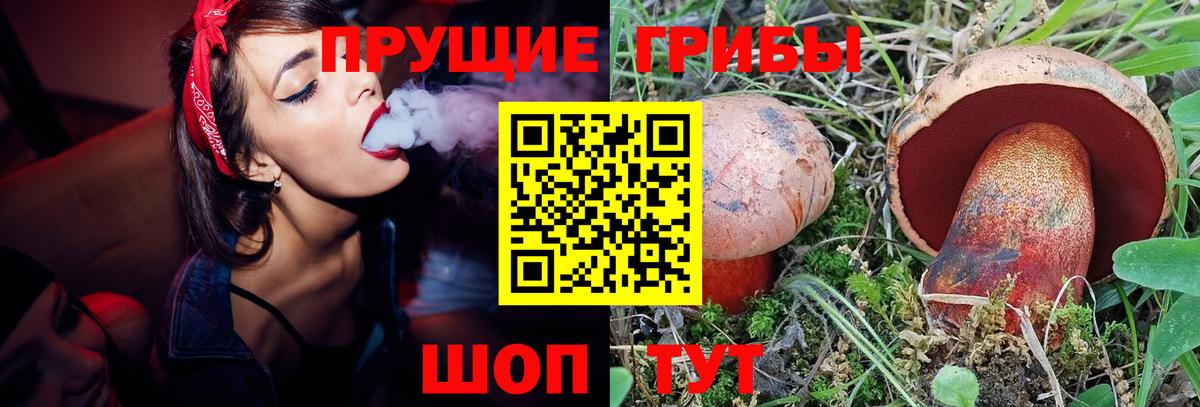 Галлюциногенные грибы Psilocybe  Вход с VPN  Псилоцибиновые грибы GOLDEN TEACHER  Кандалакша 