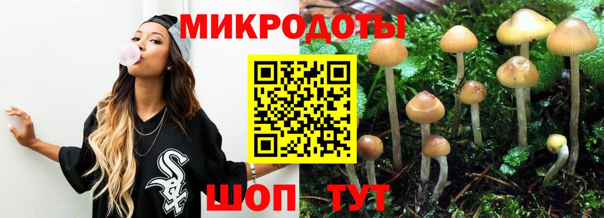 Галлюциногенные грибы Psilocybe  Кандалакша  Псилоцибиновые грибы GOLDEN TEACHER 